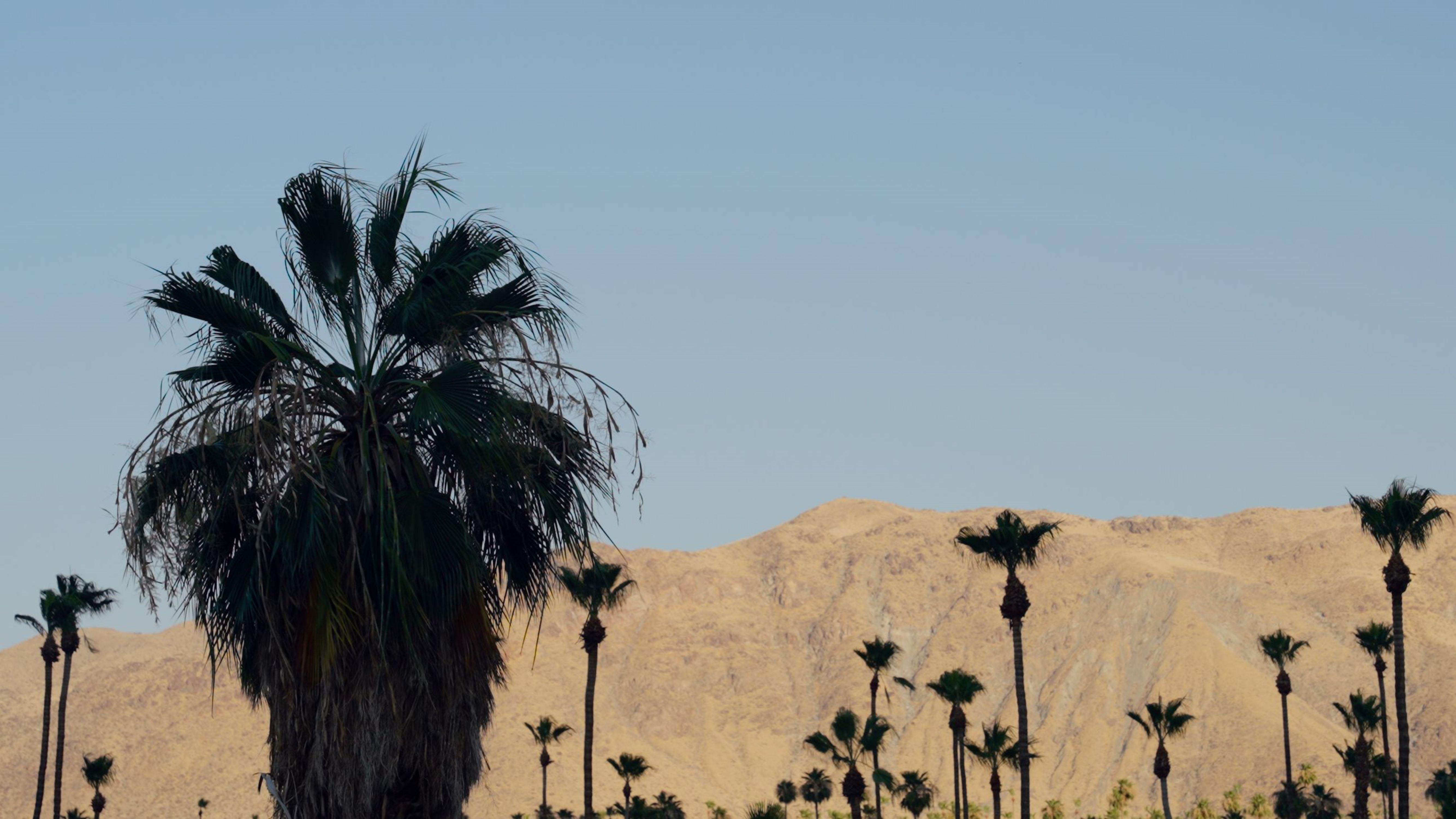 Royal Sun Palm Springs 호텔 외부 사진