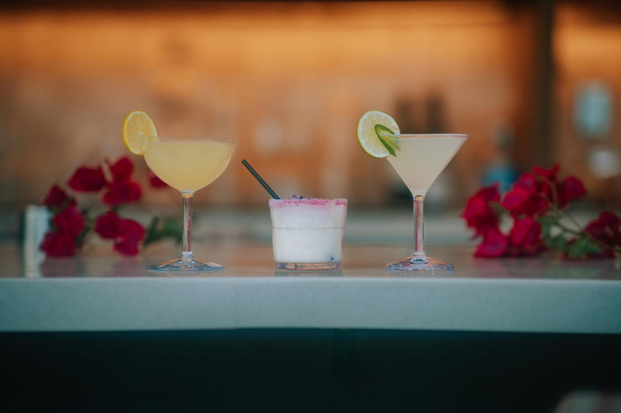 Royal Sun Palm Springs 호텔 외부 사진