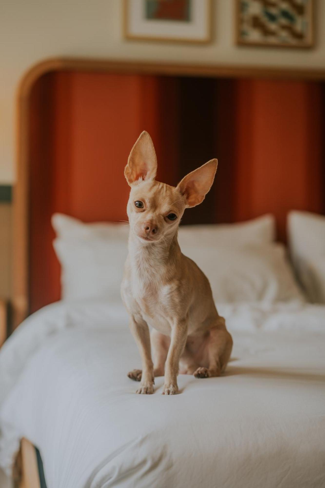 Royal Sun Palm Springs 호텔 외부 사진