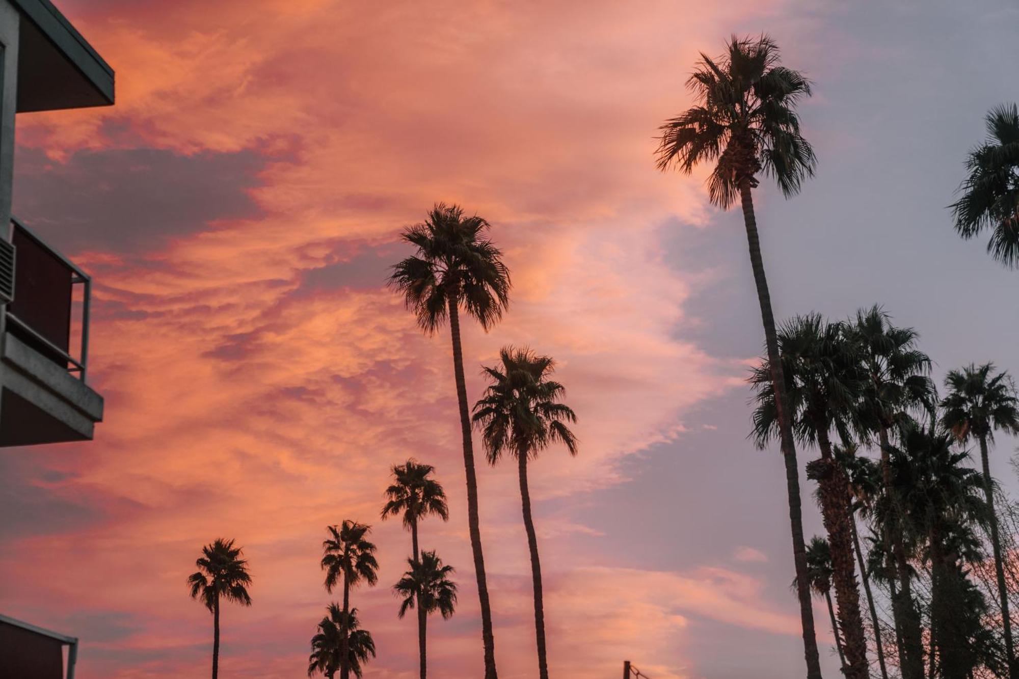 Royal Sun Palm Springs 호텔 외부 사진